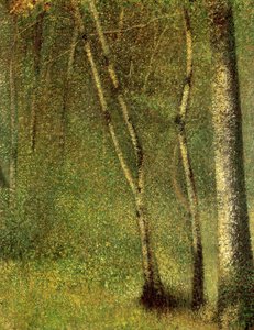 Na Floresta em Pontaubert